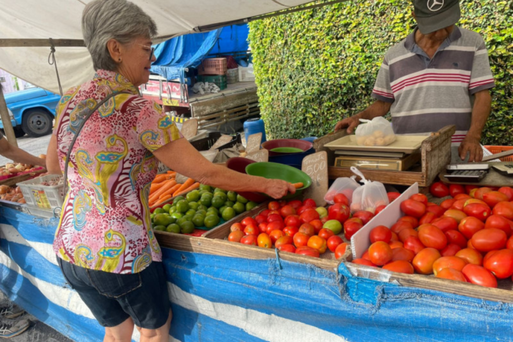 senhora na feira escolhendo legumes