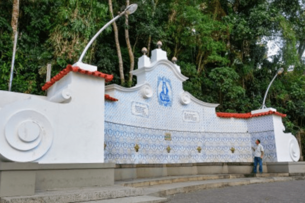 Fonte Judite na serra fluminense.