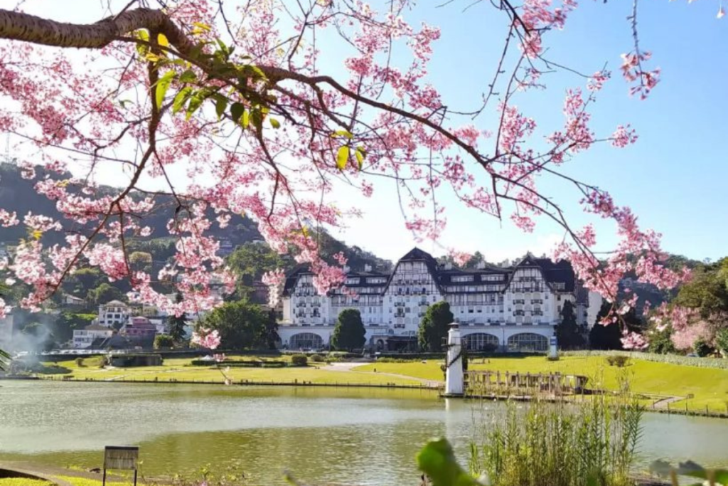 Petrópolis planos de saúde.
