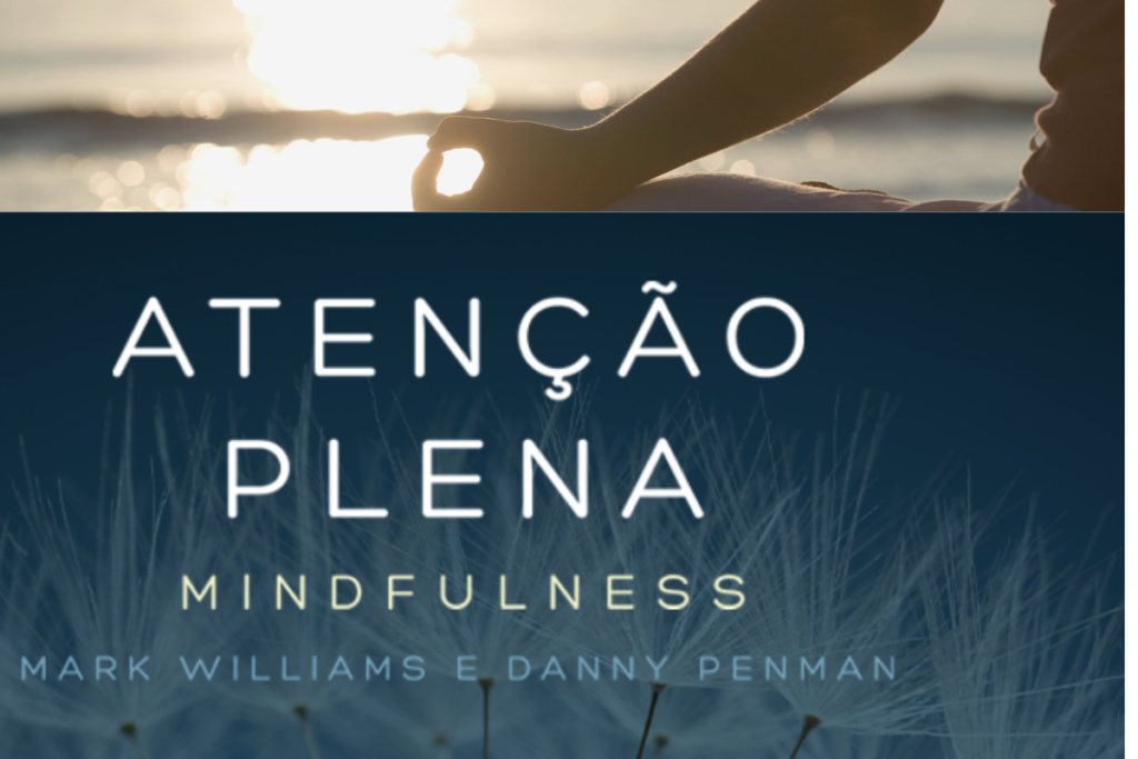 Atenção plena livro.