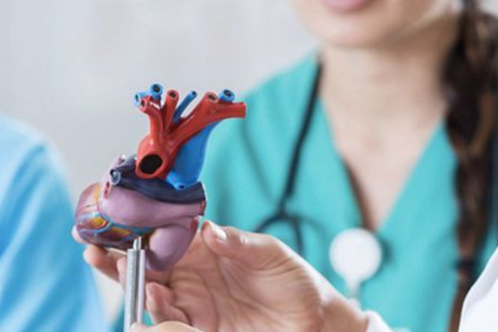 Cirurgiã estudando o coração.