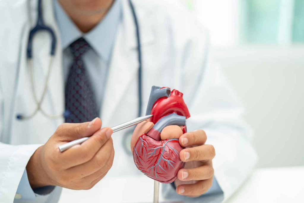 Médico com um coração de brinquedo.