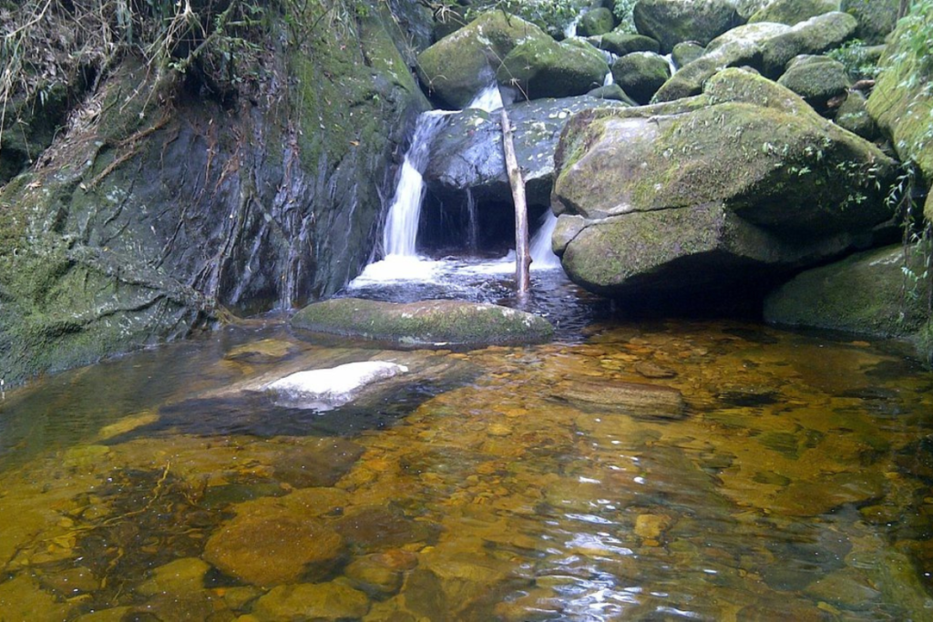 Parque nacional de teresópolis RJ.