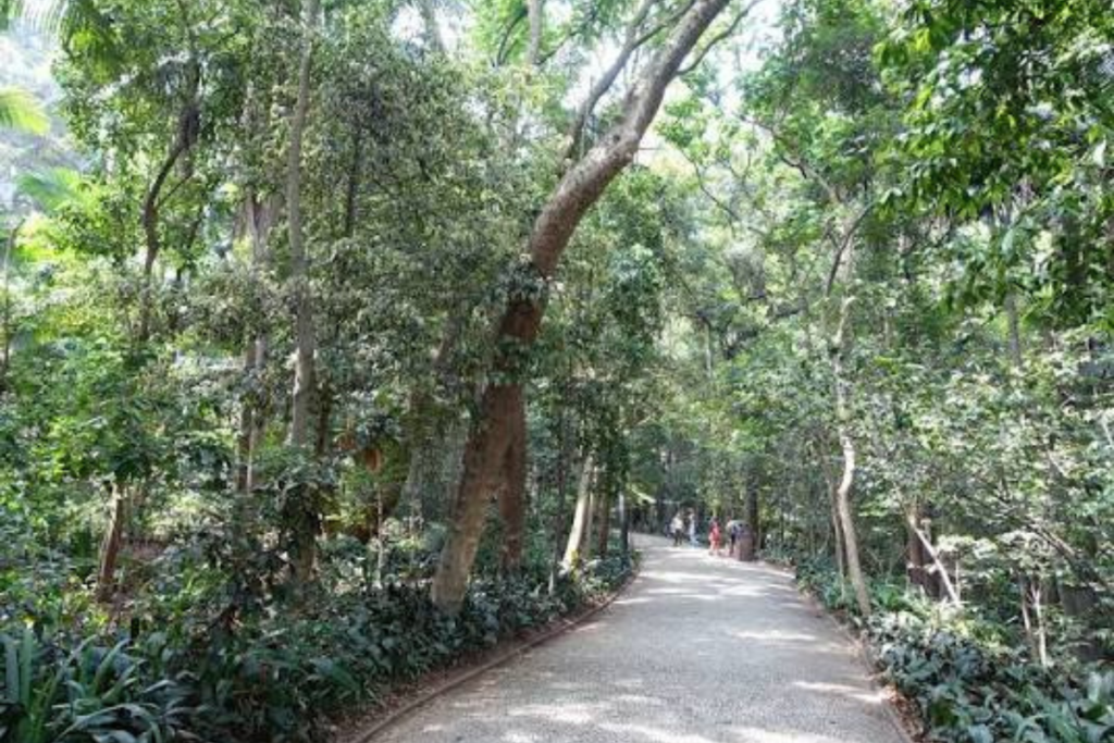 Parque Trianom em SP e empresas com amil pme.