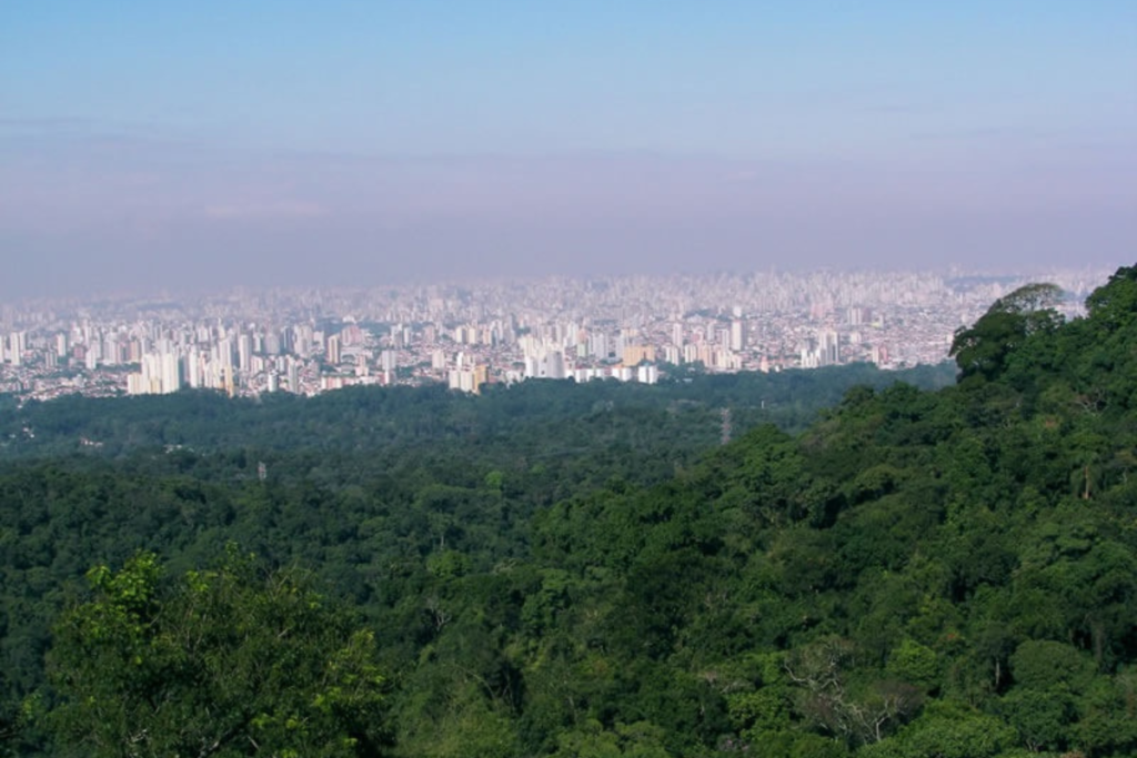Tremembé em sp com amil bronze