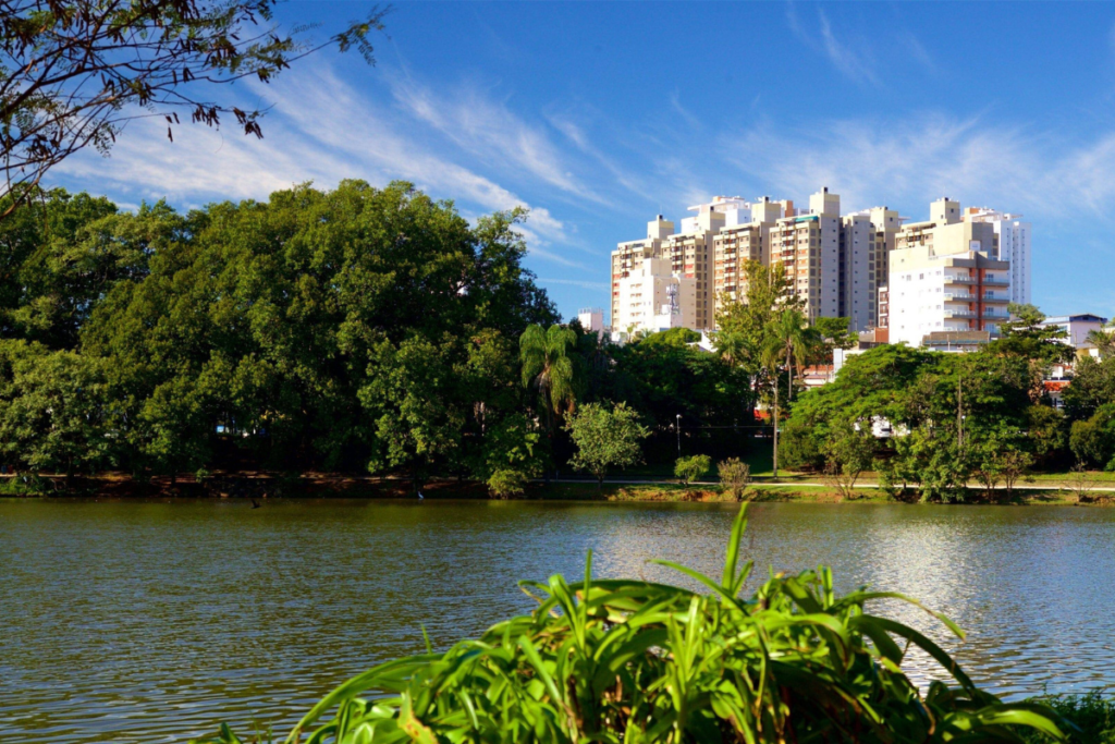 Amil Cobre Campinas São paulo.