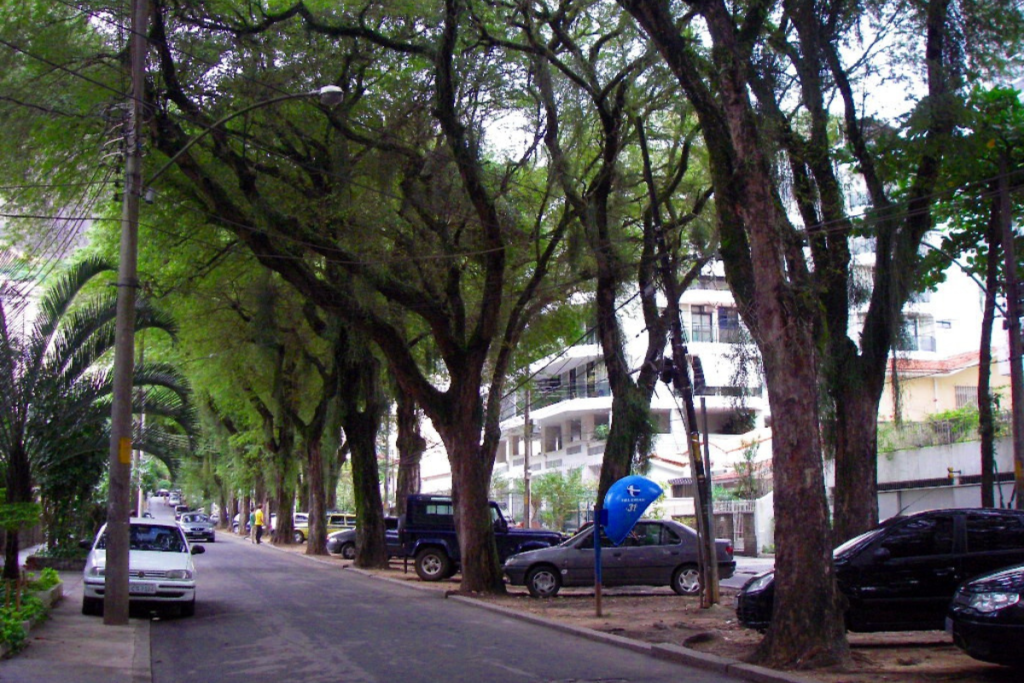 Grajáu com Amil Ouro empresarial RJ