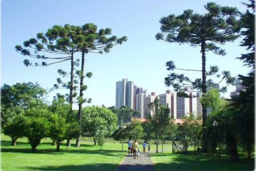 Amil Ouro para bairro de Curitiba.