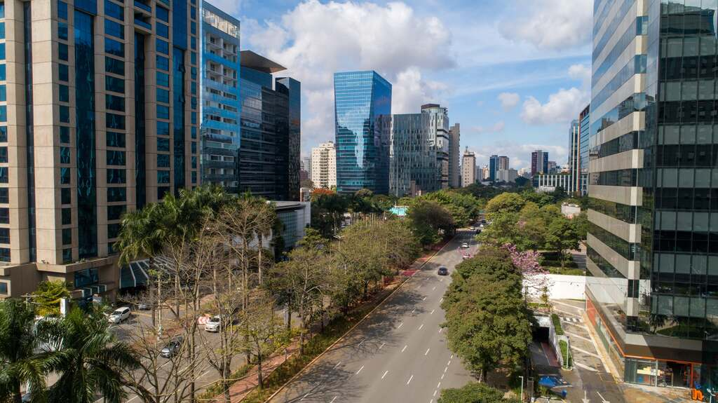 zona sul de sp com amil bronze.
